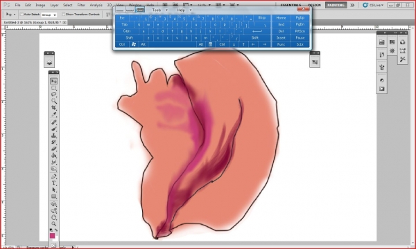 Creation of Sweet Conch: Step 2